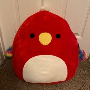 Paco the Parrot Squishmallow